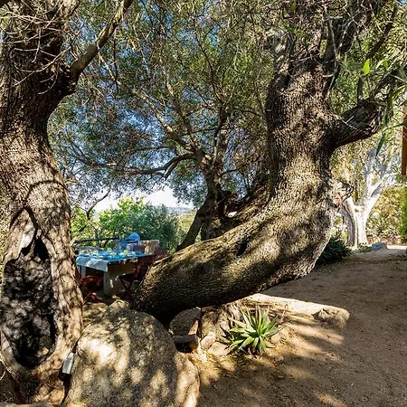 Villa Stazzu Liccia Suara Cannigione